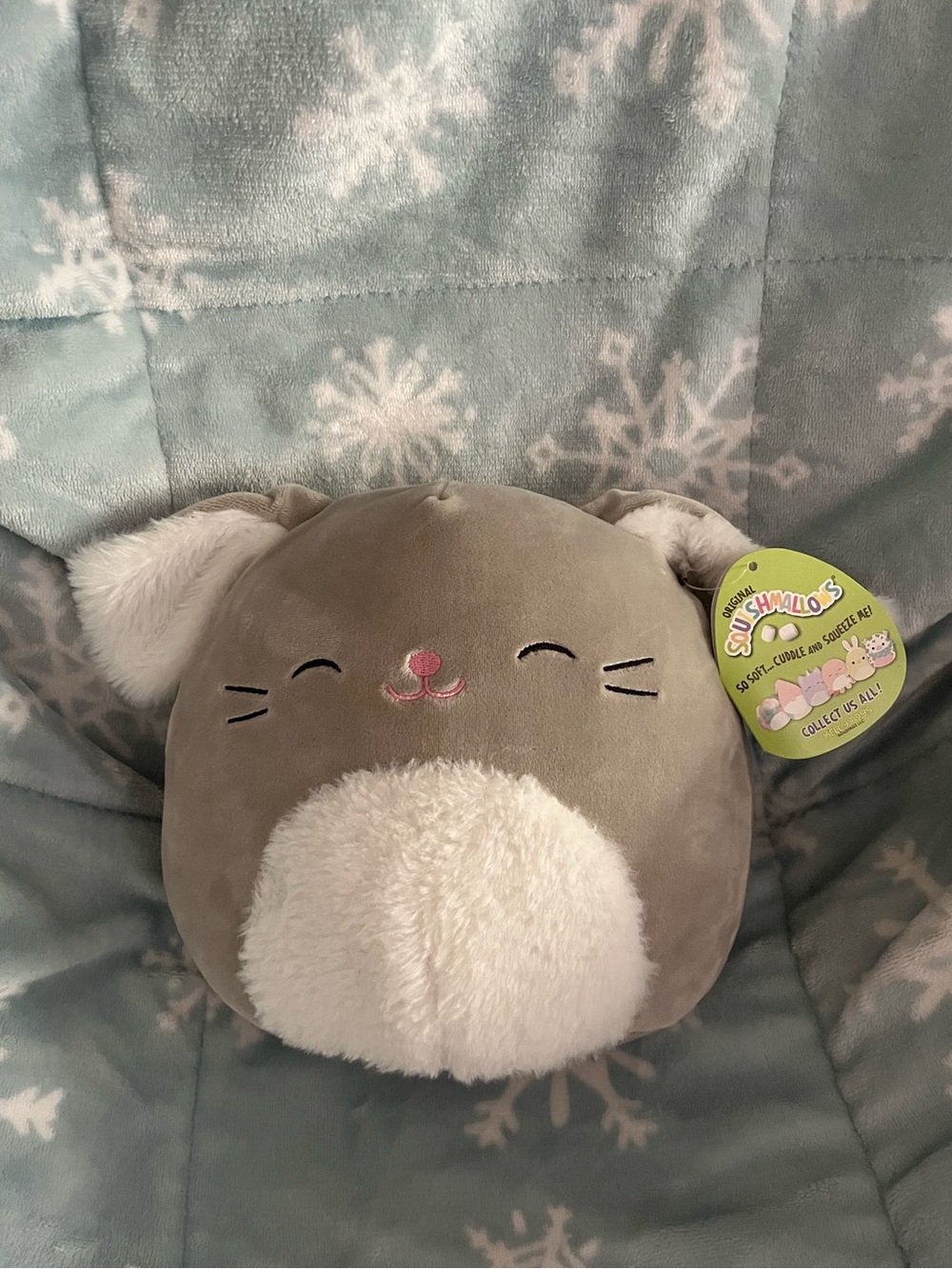 5” Blake the Bunny Squishmallow